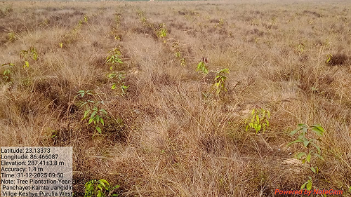 Impact Project Image